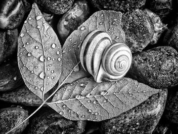 Love on the Rocks (Explore October 17, 2013) - Free image #318153